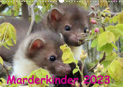 Marderkinder (Wandkalender 2023 DIN A3 quer) von Nixe
