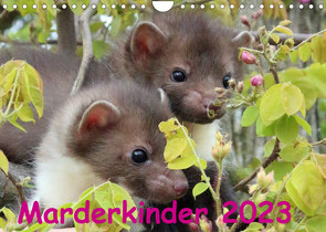 Marderkinder (Wandkalender 2023 DIN A4 quer) von Nixe