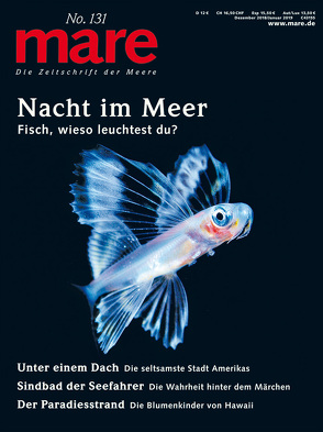 mare – Die Zeitschrift der Meere / No. 131/ Nacht im Meer von Gelpke,  Nikolaus