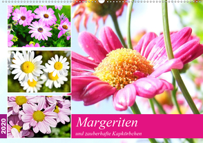 Margeriten und zauberhafte Kapkörbchen (Wandkalender 2020 DIN A2 quer) von Hurley,  Rose