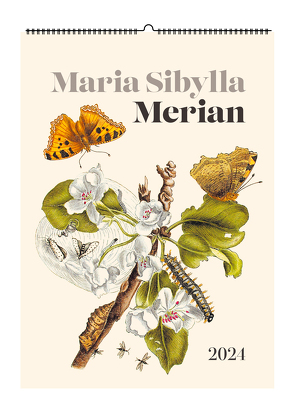 Maria Sibylla Merian. Wandkalender 2024 von Merian,  Maria Sibylla