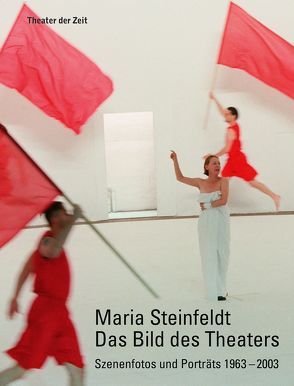 Maria Steinfeldt. Das Bild des Theaters von Irmer,  Thomas, Steinfeldt,  Maria