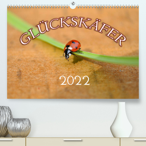 Marienkäfer 2022 (Premium, hochwertiger DIN A2 Wandkalender 2022, Kunstdruck in Hochglanz) von Geduldig,  Bildagentur