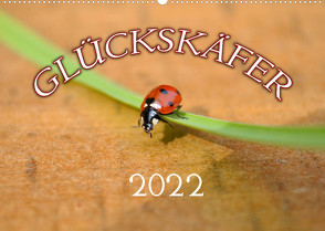 Marienkäfer 2022 (Wandkalender 2022 DIN A2 quer) von Geduldig,  Bildagentur