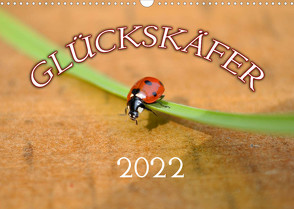 Marienkäfer 2022 (Wandkalender 2022 DIN A3 quer) von Geduldig,  Bildagentur