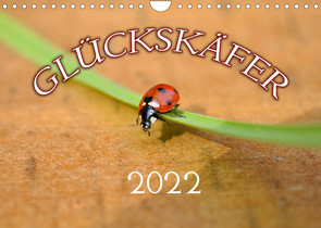 Marienkäfer 2022 (Wandkalender 2022 DIN A4 quer) von Geduldig,  Bildagentur