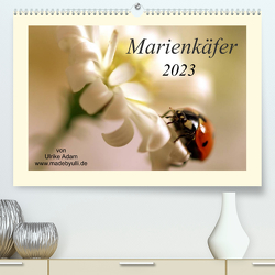 Marienkäfer / 2023 (Premium, hochwertiger DIN A2 Wandkalender 2023, Kunstdruck in Hochglanz) von Adam,  Ulrike, madebyulli.de