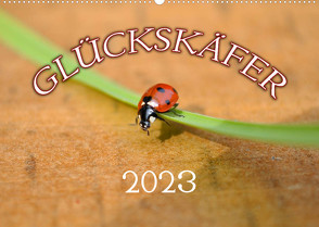 Marienkäfer 2023 (Wandkalender 2023 DIN A2 quer) von Geduldig,  Bildagentur