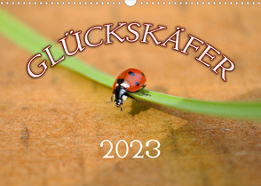 Marienkäfer 2023 (Wandkalender 2023 DIN A3 quer) von Geduldig,  Bildagentur
