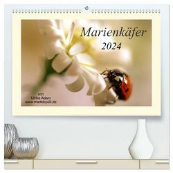 Marienkäfer / 2024 (hochwertiger Premium Wandkalender 2024 DIN A2 quer), Kunstdruck in Hochglanz von Adam madebyulli.de,  Ulrike
