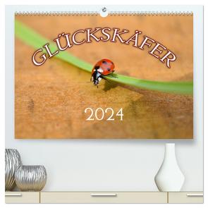 Marienkäfer 2024 (hochwertiger Premium Wandkalender 2024 DIN A2 quer), Kunstdruck in Hochglanz von Geduldig,  Bildagentur