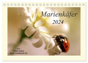 Marienkäfer / 2024 (Tischkalender 2024 DIN A5 quer), CALVENDO Monatskalender von Adam madebyulli.de,  Ulrike