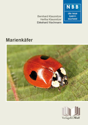 Marienkäfer von Klausnitzer,  Bernhard, Klausnitzer,  Hertha