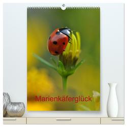 Marienkäferglück (hochwertiger Premium Wandkalender 2024 DIN A2 hoch), Kunstdruck in Hochglanz von Herppich,  Susanne