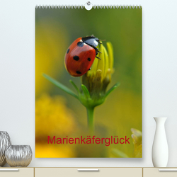 Marienkäferglück (Premium, hochwertiger DIN A2 Wandkalender 2023, Kunstdruck in Hochglanz) von Herppich,  Susanne