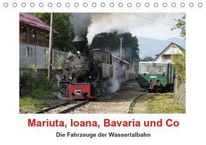 Mariuta, Ioana, Bavaria und Co (Tischkalender 2019 DIN A5 quer) von Hegerfeld-Reckert,  Anneli