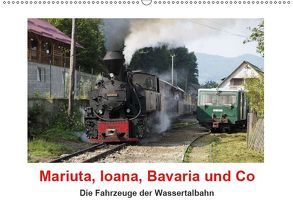 Mariuta, Ioana, Bavaria und Co (Wandkalender 2019 DIN A2 quer) von Hegerfeld-Reckert,  Anneli