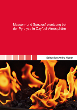 Massen- und Speziesfreisetzung bei der Pyrolyse in Oxyfuel-Atmosphäre von Heuer,  Sebastian Andre