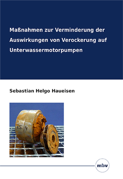 Maßnahmen zur Verminderung der Auswirkungen von Verockerung auf Unterwassermotorpumpen von Haueisen,  Sebastian Helgo