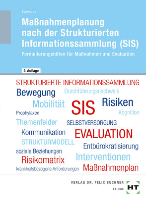 Maßnahmenplanung nach der Strukturierten Informationssammlung (SIS) von Schwerdt,  Christine