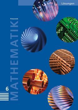 Mathematik 6 Primarstufe / Handbuch von Autorenteam