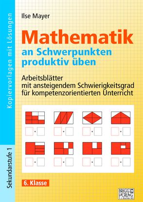 Mathematik an Schwerpunkten produktiv üben – 6. Klasse von Mayer,  Ilse
