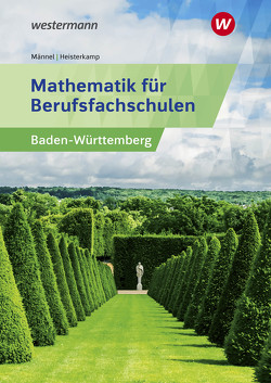 Mathematik für Berufsfachschulen von Heisterkamp,  Markus, Männel,  Rolf