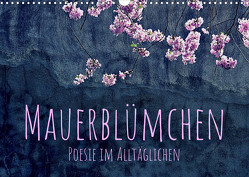 Mauerblümchen – Poesie im Alltäglichen (Wandkalender 2023 DIN A3 quer) von d'Angelo - soulimages,  Kirsten