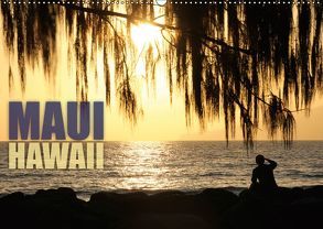 Maui, Hawaii (Wandkalender 2019 DIN A2 quer) von Schmidt,  Daniel