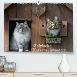 Maui und Molokai – Sibirische Katzenschwestern (hochwertiger Premium Wandkalender 2024 DIN A2 quer), Kunstdruck in Hochglanz von Danis,  Peter