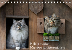 Maui und Molokai – Sibirische Katzenschwestern (Tischkalender 2024 DIN A5 quer), CALVENDO Monatskalender von Danis,  Peter