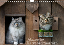 Maui und Molokai – Sibirische Katzenschwestern (Wandkalender 2024 DIN A4 quer), CALVENDO Monatskalender von Danis,  Peter