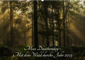 Max Dauthendey – Mit dem Wald durchs Jahr (Wandkalender 2023 DIN A2 quer) von Wally