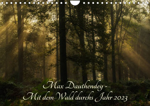 Max Dauthendey – Mit dem Wald durchs Jahr (Wandkalender 2023 DIN A4 quer) von Wally