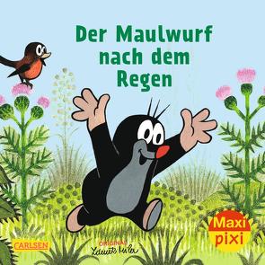 Maxi Pixi 200: VE 5 Der Maulwurf nach dem Regen (5 Exemplare) von Miler,  Zdeněk, Sörensen,  Hanna