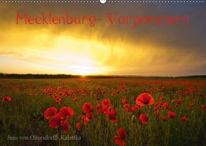 Mecklenburg – Vorpommern (Wandkalender 2019 DIN A2 quer) von von Oltersdorff- Kalettka,  Jens