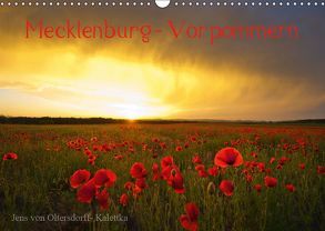 Mecklenburg – Vorpommern (Wandkalender 2019 DIN A3 quer) von von Oltersdorff- Kalettka,  Jens