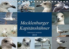 Mecklenburger Kapitänshühner (Tischkalender 2019 DIN A5 quer) von Felix,  Holger