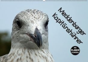 Mecklenburger Kapitänshühner (Wandkalender 2018 DIN A2 quer) von Felix,  Holger