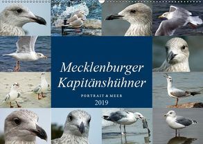 Mecklenburger Kapitänshühner (Wandkalender 2019 DIN A2 quer) von Felix,  Holger