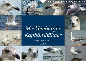 Mecklenburger Kapitänshühner (Wandkalender 2019 DIN A4 quer) von Felix,  Holger