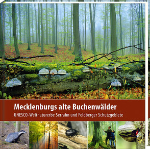 Mecklenburgs alte Buchenwälder von Borrmann,  Klaus