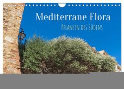Mediterrane Flora – Pflanzen des Südens (Wandkalender 2024 DIN A4 quer), CALVENDO Monatskalender von Schittenhelm,  Elisabeth