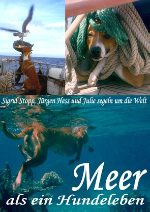 Meer als ein Hundeleben von Hess,  Jürgen, Stopp,  Sigrid