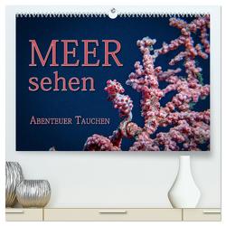 Meer sehen – Abenteuer Tauchen (hochwertiger Premium Wandkalender 2024 DIN A2 quer), Kunstdruck in Hochglanz von Gödecke,  Dieter