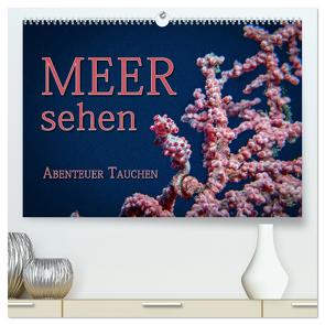 Meer sehen – Abenteuer Tauchen (hochwertiger Premium Wandkalender 2024 DIN A2 quer), Kunstdruck in Hochglanz von Gödecke,  Dieter