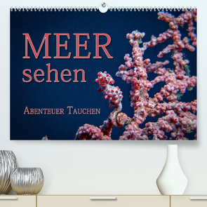 Meer sehen – Abenteuer Tauchen (Premium, hochwertiger DIN A2 Wandkalender 2023, Kunstdruck in Hochglanz) von Gödecke,  Dieter