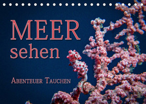 Meer sehen – Abenteuer Tauchen (Tischkalender 2023 DIN A5 quer) von Gödecke,  Dieter