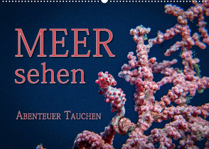 Meer sehen – Abenteuer Tauchen (Wandkalender 2023 DIN A2 quer) von Gödecke,  Dieter