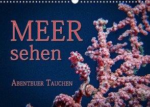 Meer sehen – Abenteuer Tauchen (Wandkalender 2023 DIN A3 quer) von Gödecke,  Dieter